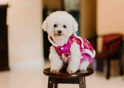 coloured_sketch_photography_videography_Singapore_portfolio-Portrait-51