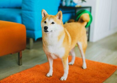 coloured_sketch_photography_videography_Singapore_portfolio-Portrait-60