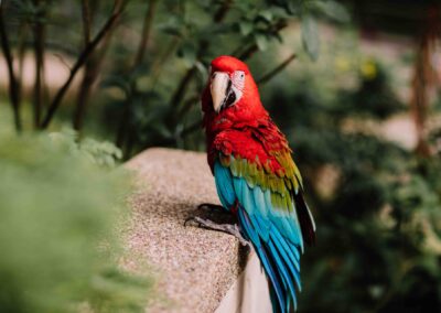 coloured_sketch_photography_videography_Singapore_portfolio-Portrait-9